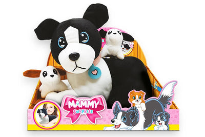 Mammy Surprise Cagnolina Border Collie