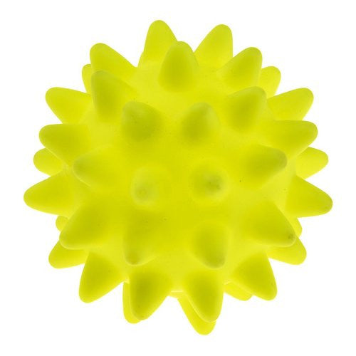 Gioco per animali Ferplast 86016799 Spiny Assortito