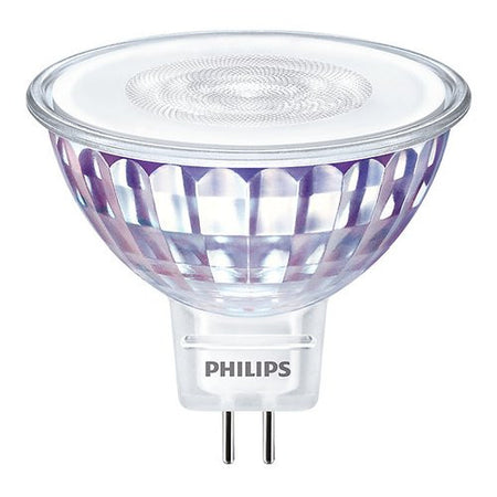 Lampadina led Philips