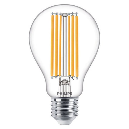 Lampadina led Philips