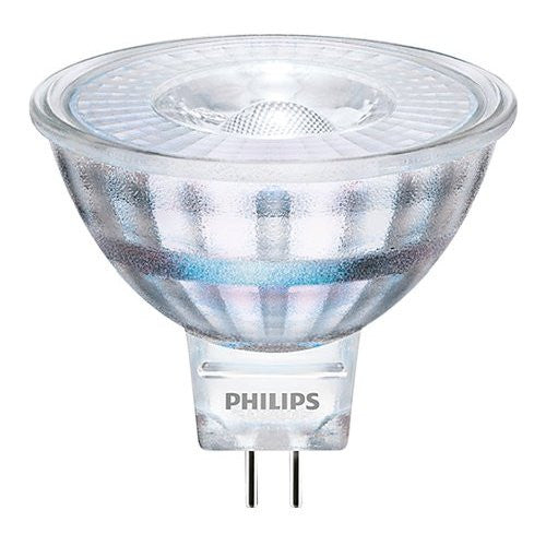 Lampadina led Philips