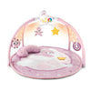 Palestra gioco Chicco 00009866100000 FIRST DREAMS 3 in1 dei colori Ros