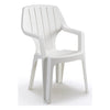 Sedia con braccioli Bica 28 NANCY + Alta Bianco