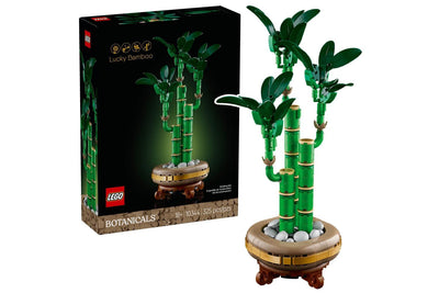 Botanical Bambu' del Buon Auspicio