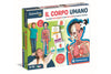 Sapientino Montessori Il Corpo Umano