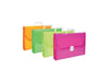 Valigetta PPL colori assortiti 37x53x5