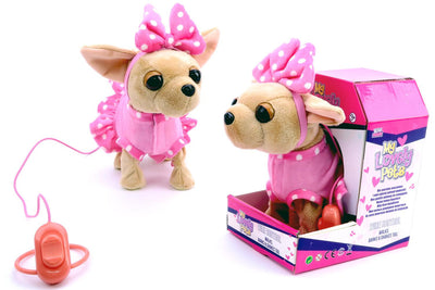 Cane Chihuahua filoguidato