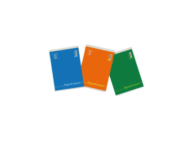 Blocco Note Colours A4 5M 10 pezzi
