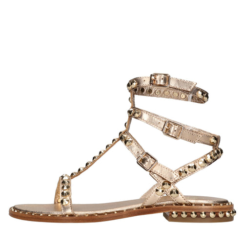 ASH Scarpe basse Oro da donna