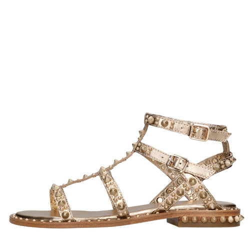 ASH Scarpe basse Oro da donna