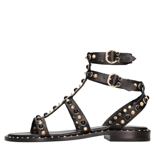 ASH Scarpe basse Nero da donna