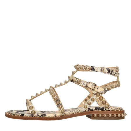 ASH Scarpe basse Marrone da donna