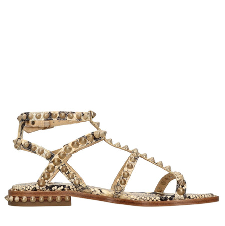 ASH Scarpe basse Marrone da donna