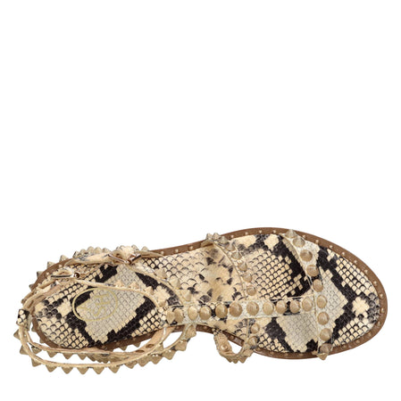 ASH Scarpe basse Marrone da donna