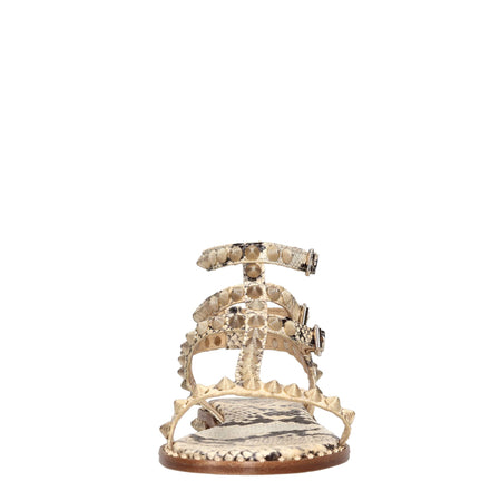 ASH Scarpe basse Marrone da donna