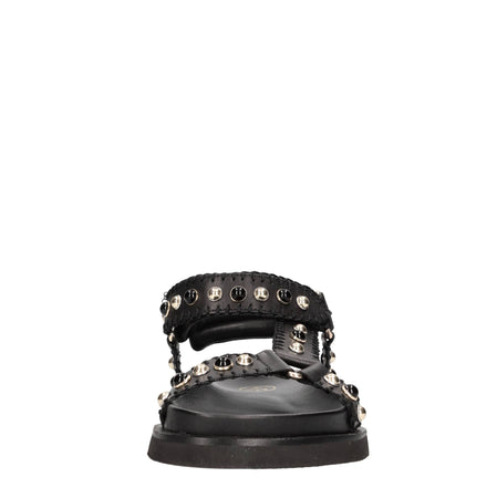 ASH Scarpe basse Nero da donna