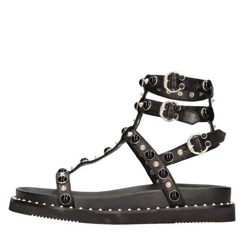 ASH Scarpe basse Nero da donna