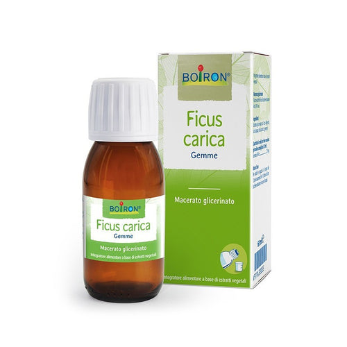 Ficus carica gemme 60ml mg