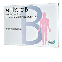 Enterob 15 capsule 500mg