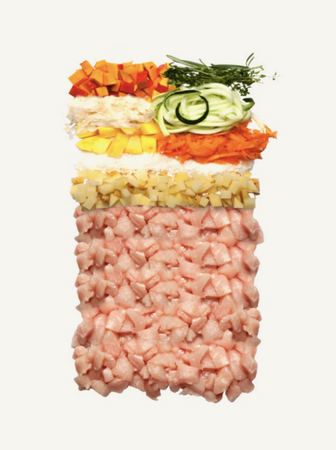 Terra Canis Canireo pollo 2.5 kg