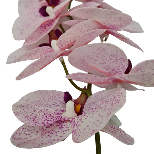 Fiore artificiale ramo decorativo di Orchidea Phal Real bianco/fucsia da 50 cm
