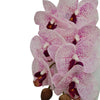 Fiore artificiale ramo decorativo di Orchidea Phal Real bianco/fucsia da 50 cm