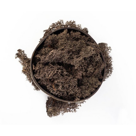 Muschio lichene decorativo per villaggio di Natale e presepe