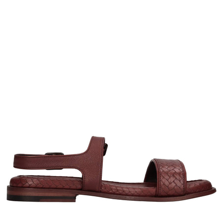 Pantanetti Scarpe basse Marrone da donna