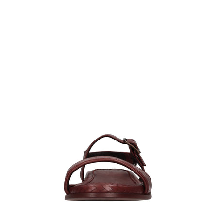 Pantanetti Scarpe basse Marrone da donna