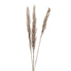 Rami artificiali pampas neutri per composizioni floreali 3 pezzi h 110/ 115
