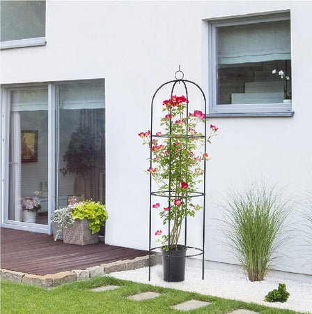 Supporto in Metallo per Piante Rampicanti da Giardino 40x60 H 185cm Verde