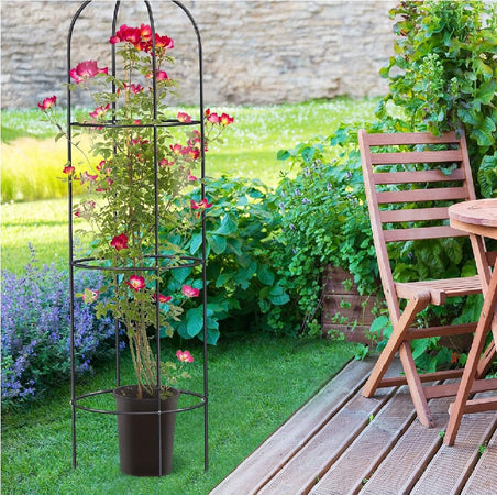 Supporto in Metallo per Piante Rampicanti da Giardino 40x60 H 185cm Verde