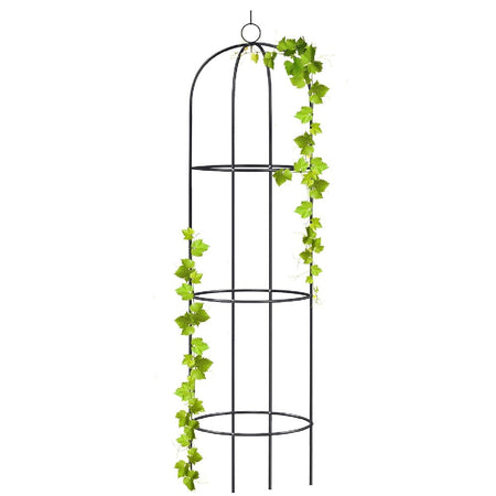 Supporto in Metallo per Piante Rampicanti da Giardino 40x60 H 185cm Verde