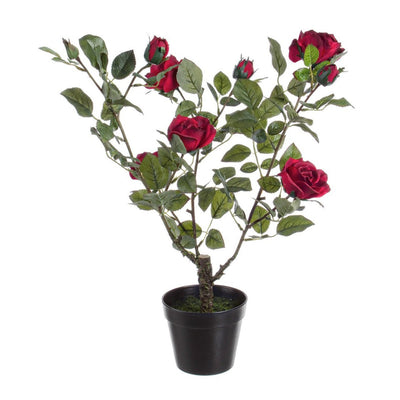 Pianta artificiale Isabel con rose rosse, tronco naturale, 51x39x66h cm