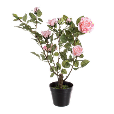 Pianta artificiale Isabel con rose rosse, tronco naturale, 51x39x66h cm