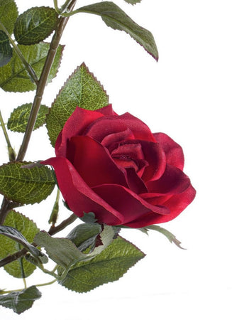 Pianta artificiale "Isabel" con rose rosse, tronco naturale, 51x39x66h cm