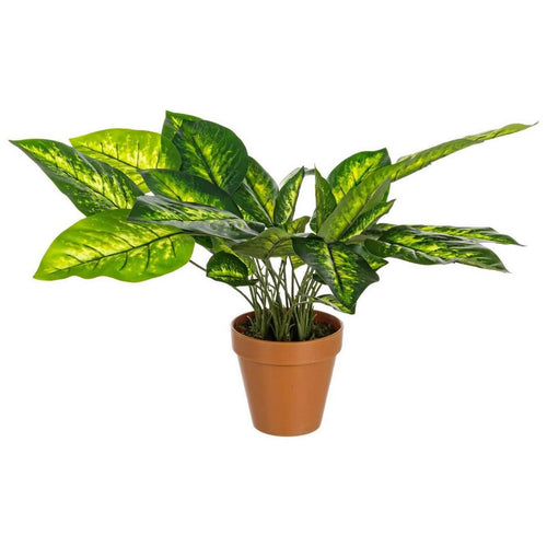 Pianta artificiale Dieffenbachia con vaso in plastica, 30x30x45h cm