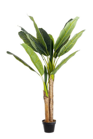 Pianta Artificiale decorativa da interno ed esterno "Banano" con vaso
