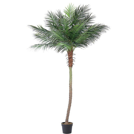 Pianta Artificiale decorativa da interno ed esterno "Palma" con vaso