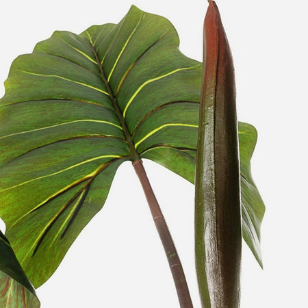 Pianta Artificiale decorativa da interno ed esterno "Dieffenbachia" con vaso h 134