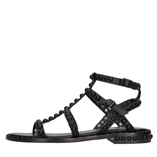 ASH Scarpe basse Nero da donna