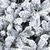 Albero di Natale innevato Plateau Rosa in PVC di altissima qualità + Flock