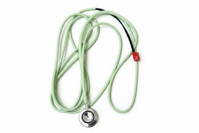 Sonda frigorifero Candy 27CY015