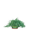 GEDEBE Sandali Verde da donna