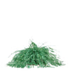 GEDEBE Sandali Verde da donna