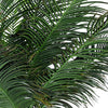 Pianta Artificiale decorativa da interno ed esterno Palma con vaso