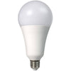 Lampadina A Led 25watt A95 E27 2500lm A Sfera Luce Fredda Calda Naturale A95-25w