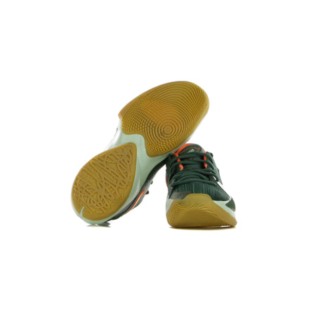 NIKE NBA Scarpa Bassa Uomo Zoom Freak 2 Vintage Green/pistachio Frost/camellia da uomo
