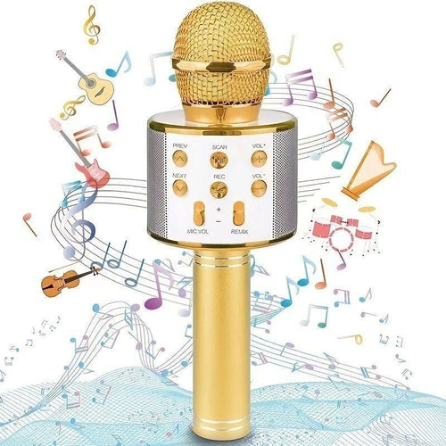 Microfono Speaker Portatile Wireless Bluetooth Karaoke Con Cassa Integrata Gioco