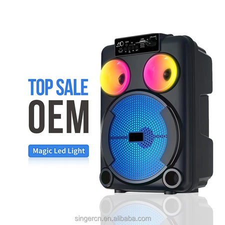 karaoke GD-892 Woofer 8'' tweeter 3'' Bluetooth AUX USB TF FM TWS RGB MICROFONO